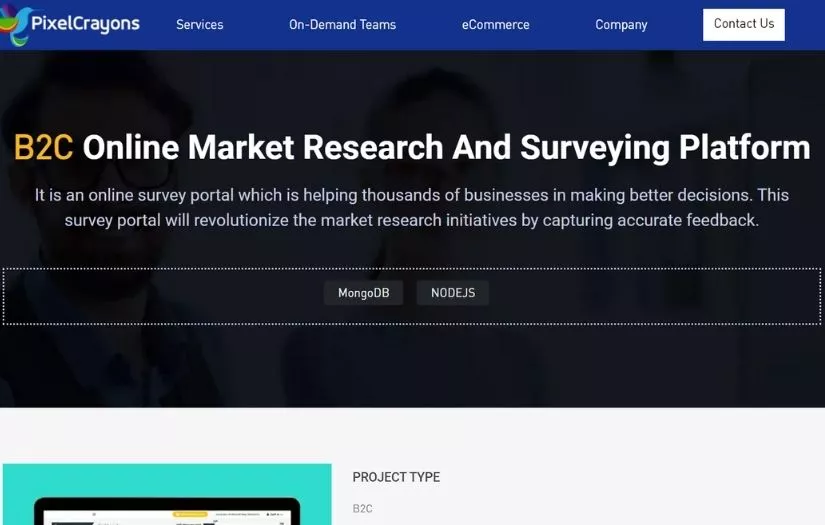 B2C Online Market Research And Surveying Platform screenshot 1
